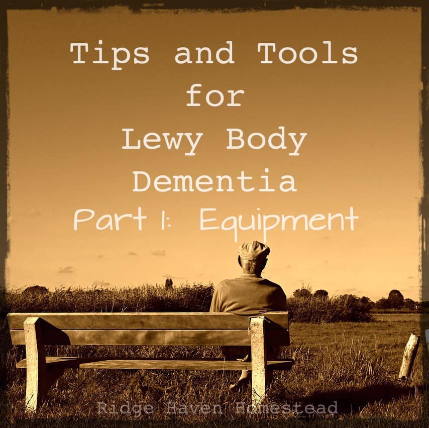 Tips And Tools For Lewy Body Dementia, Later Stages, Part One ...